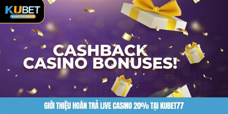 Giới thiệu hoàn trả live casino 20% tại KUBET77
