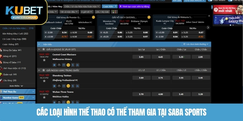 Các loại hình thể thao có thể tham gia tại Saba Sports