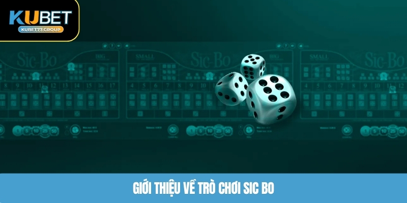 Giới thiệu về trò chơi Sic Bo